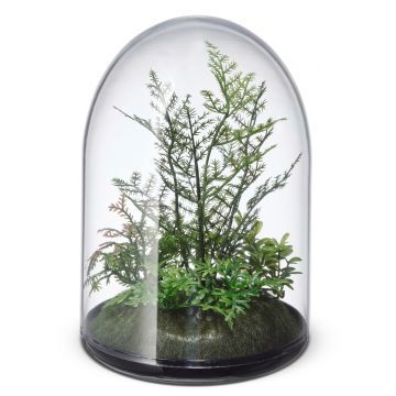 Инвиго под куполом