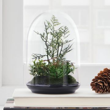 Инвиго под куполом