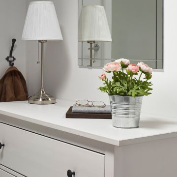 Архендии в горшке Архендии в горшке